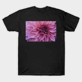 Impressive x dahlia botanical flower photograph T-Shirt